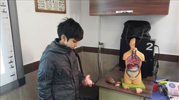 دستگاه گوارش  -  آلبوم تصاویر مدرسه هوشمند دیباگران