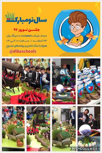 جشنواره سیزه ها  -  آلبوم تصاویر مدرسه هوشمند دیباگران