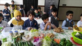 پیش دبستان -  آلبوم تصاویر مدرسه هوشمند دیباگران