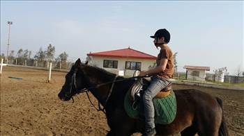 سوارکاری   -  آلبوم تصاویر مدرسه هوشمند دیباگران